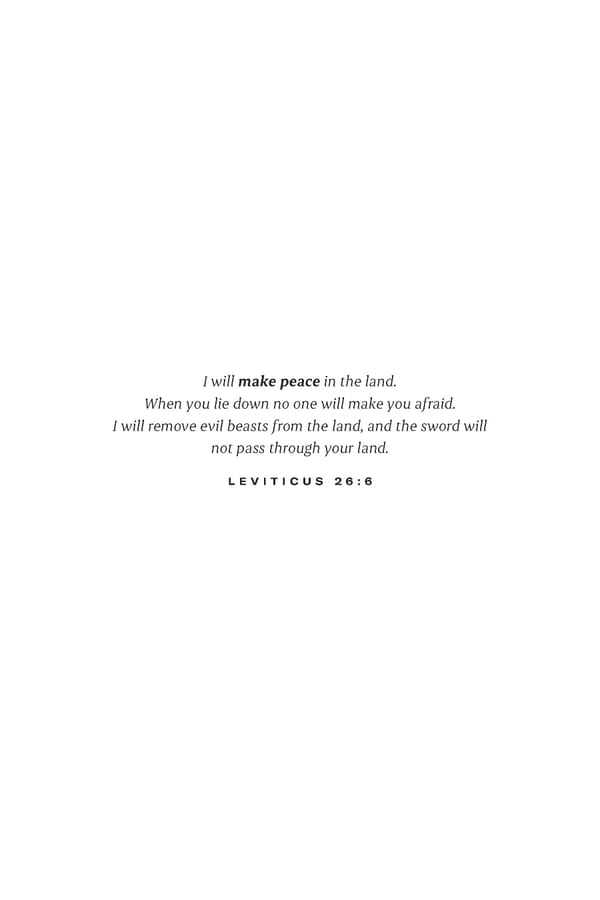 Make Peace / A Strategic Guide for Achieving Lasting Peace in Israel - Page 4